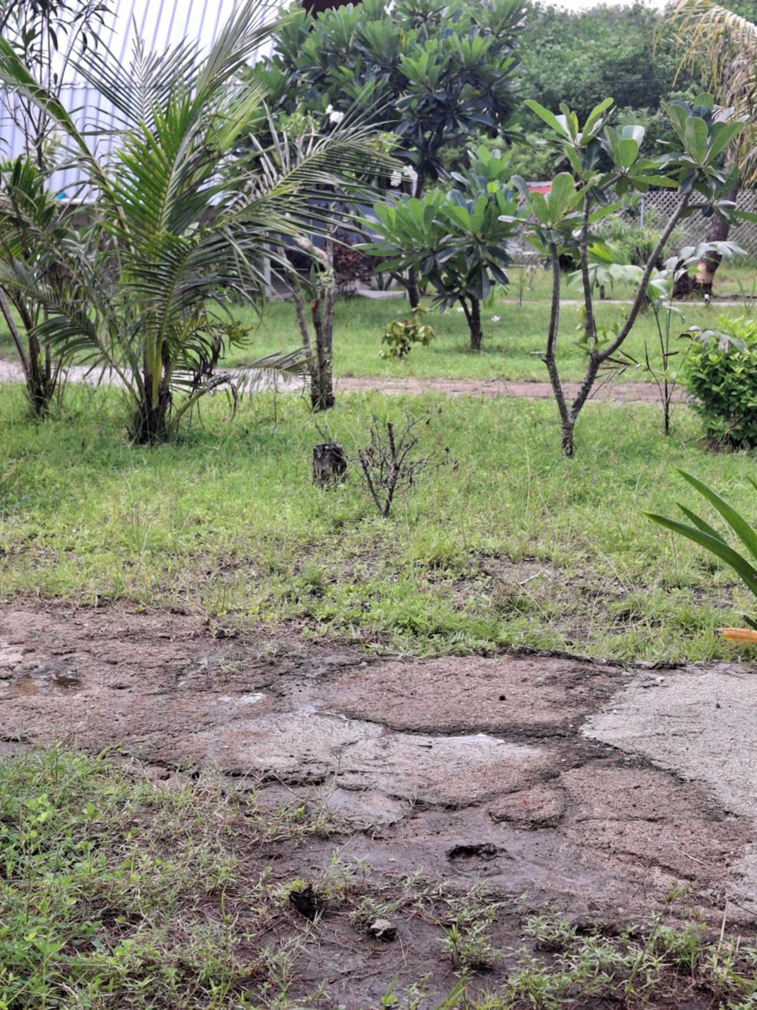 Cnunk Bungalow Gili Meno Exteriör bild