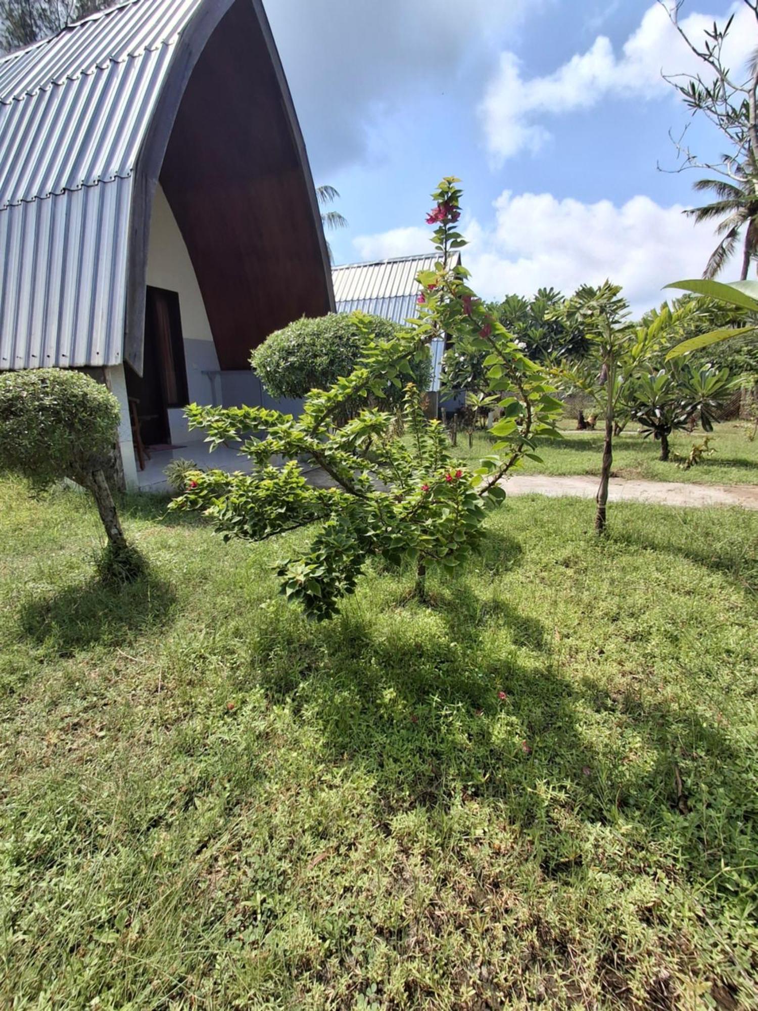 Cnunk Bungalow Gili Meno Exteriör bild