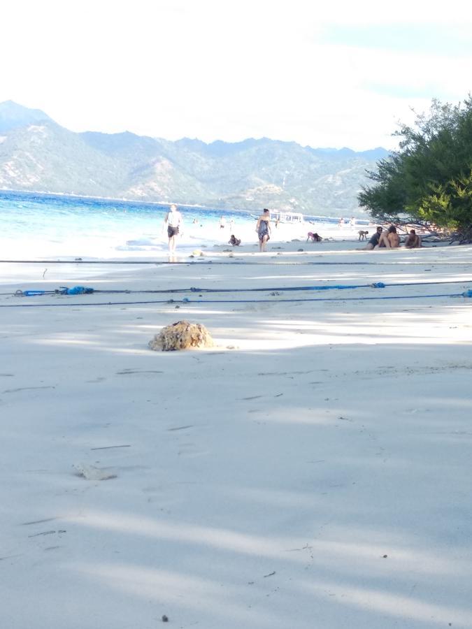 Cnunk Bungalow Gili Meno Exteriör bild